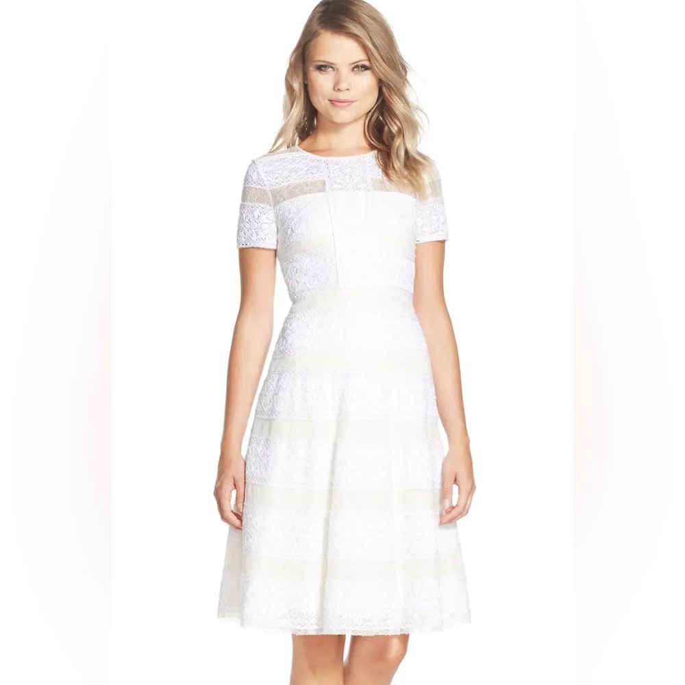 Bcbg lace and flare dress NWT size 0